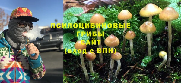 не бодяженный Абдулино