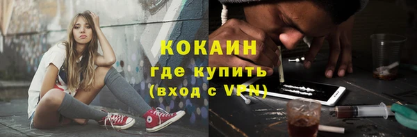 шишки Корсаков