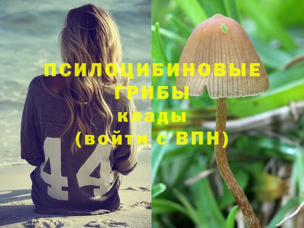 круглые Алексин