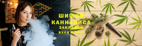 гидропоника Алзамай