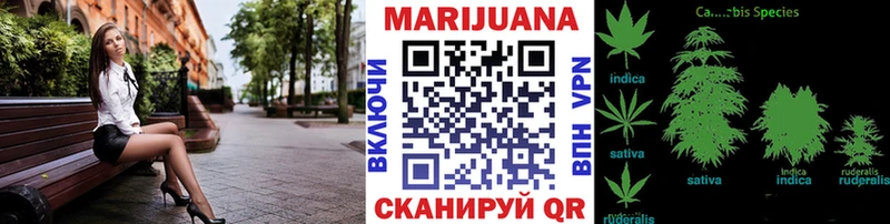 Каннабис сатива  Черногорск 